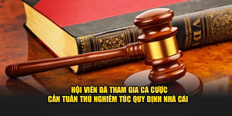 Hội viên đã tham gia cá cược cần tuân thủ nghiêm túc quy định nhà cái 